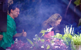 Alius_ph 20240817DSC_5332