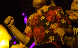 Alius_ph 20240817DSC_5744